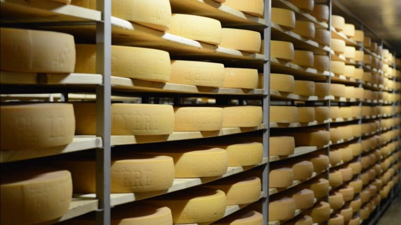 Ход строительства в агропарке «Сырная долина» проверил Андрей Разин