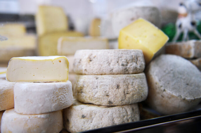 Фермеры со всей страны станут участниками самого большого сырного фестиваля России — Олег Сирота