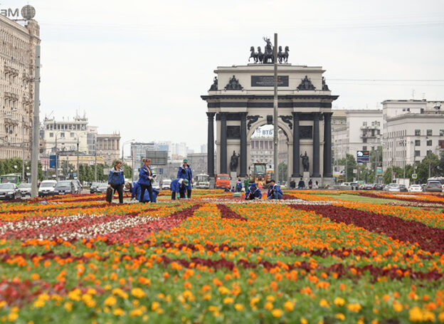 Ко Дню города в Москве облагородят более 700 цветников