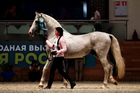 Эта осень будет конной!