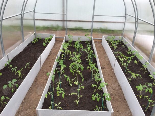 Огород на даче: строим грядки из плоского шифера