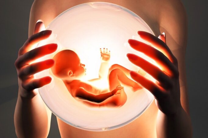 Борьба за суррогатного ребёнка  дошла до Верховного суда