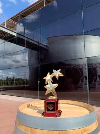 Фильму The art of making wine присуждена премия Award of Excellence на кинофестивале в США