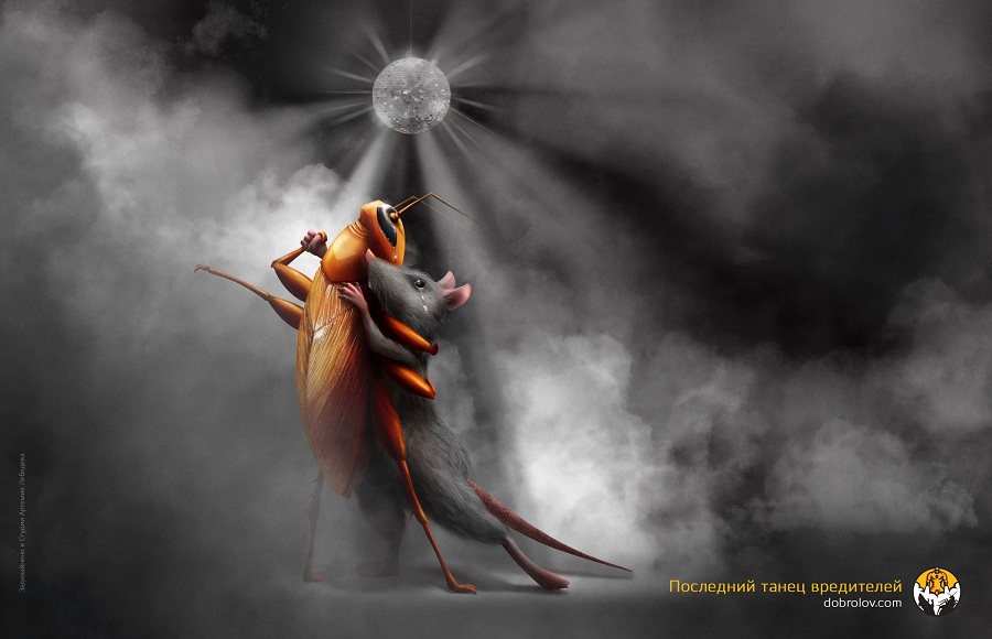 Роспотребнадзор анонсировал нашествие грызунов